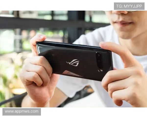 凯发体育官网平台登录网址官方入口，保障账号安全与游戏稳定性的方法介绍